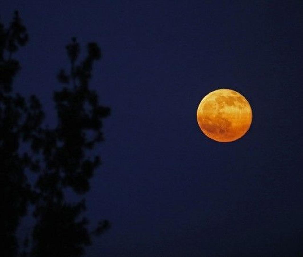 67年ぶりの神秘「夏至のストロベリームーン」を求め、セレブたちも空を見上げる