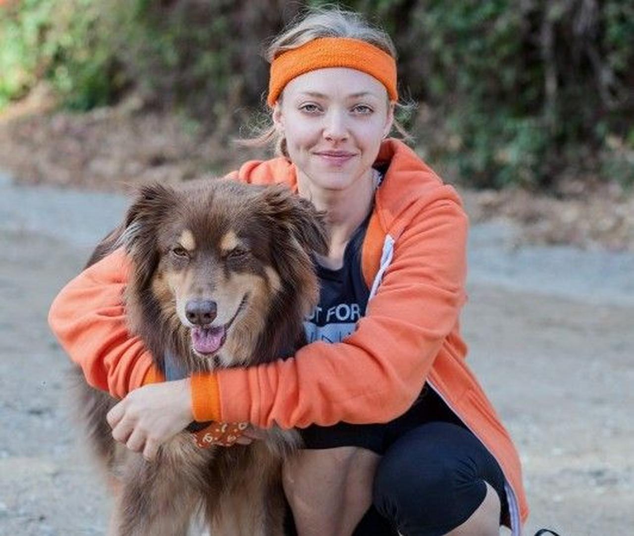 『レミゼ』女優のアマンダ・サイフリッドが「犬猫 殺処分ゼロ」運動に参加