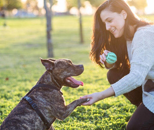 ペットと会話する人は「知的」米研究者