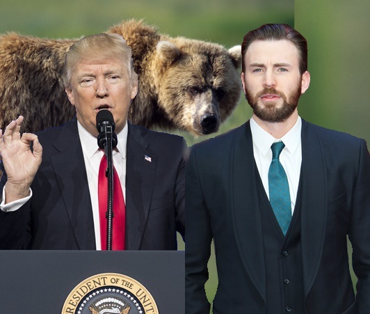 クリス・エヴァンスら、トランプ大統領の「冬眠中の熊の狩猟許可令」に反発