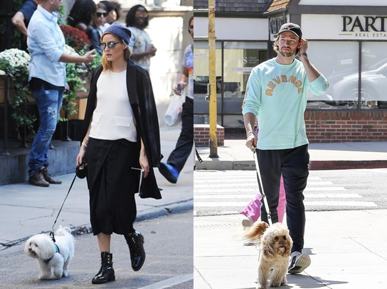 日本では2匹に1匹が○○!ペット散歩中のセレブにみる日本特有の習慣