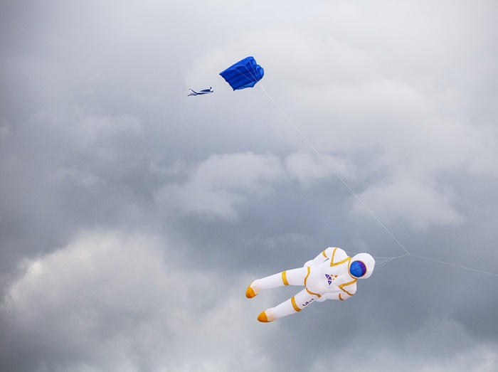 「こっち見ている…」地上を見つめる宇宙飛行士のタコがシュールすぎる