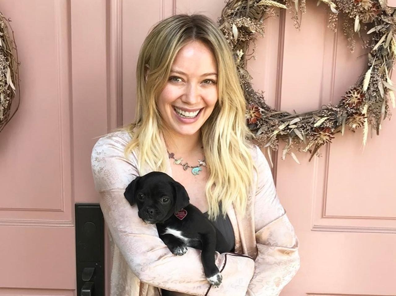 「不要」と言われた犬が人気女優に引き取られ世界的な有名犬に