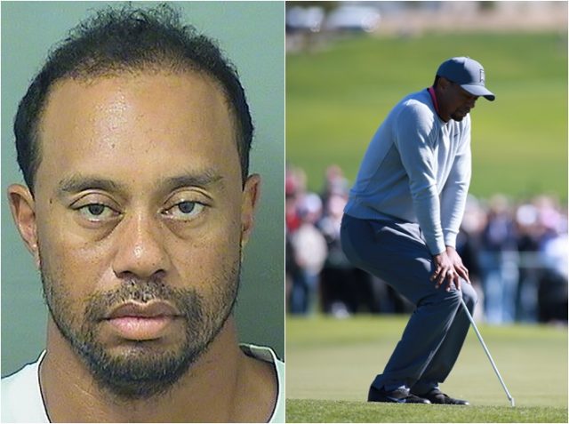 タイガー・ウッズ逮捕、釈放後の声明を全文公開「全責任を負います」