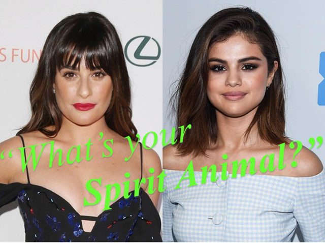 セレブがよく使うフレーズ「スピリット・アニマル」ってどういう意味？