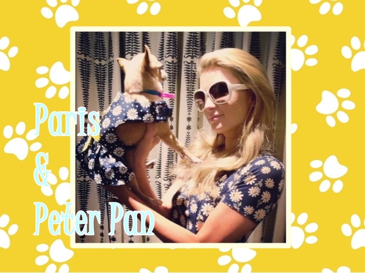 パリス・ヒルトンと愛犬の「双子コーデ」が可愛すぎ