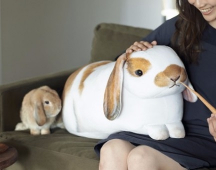 リアル!世界最大級のたれ耳うさぎ「フレンチロップイヤー」の実寸大クッション誕生