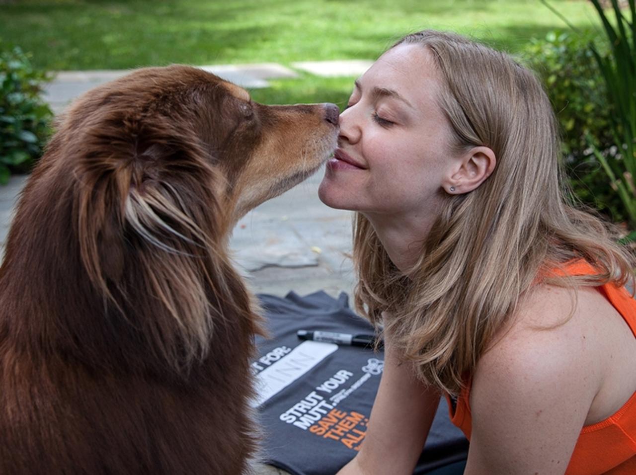 アマンダ・サイフリット、愛犬フィンくんへの愛が止まらない