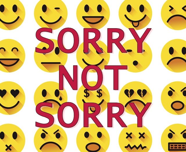 テイラーやデミも使う「Sorry Not Sorry」ってどういう意味？