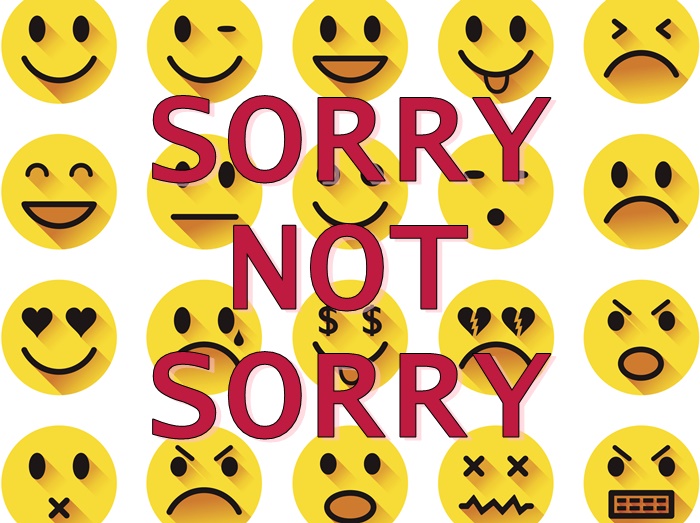 テイラーやデミも使う「Sorry Not Sorry」ってどういう意味?