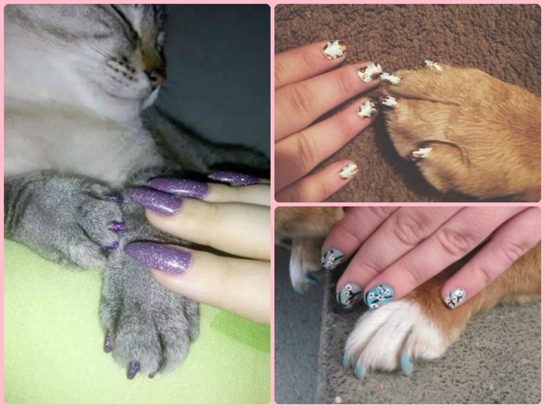カワイすぎ!ペットと飼い主の「おそろいネイル」が密かに流行中