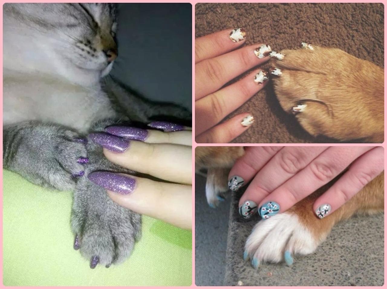 カワイすぎ！ペットと飼い主の「おそろいネイル」が密かに流行中