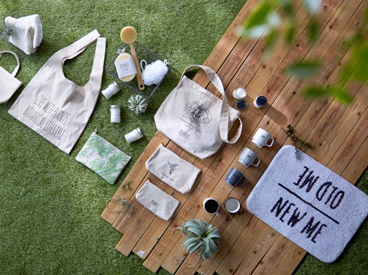 カフェや雑貨も登場!人気ブランドBOTANISTが旗艦店を原宿表参道にオープン