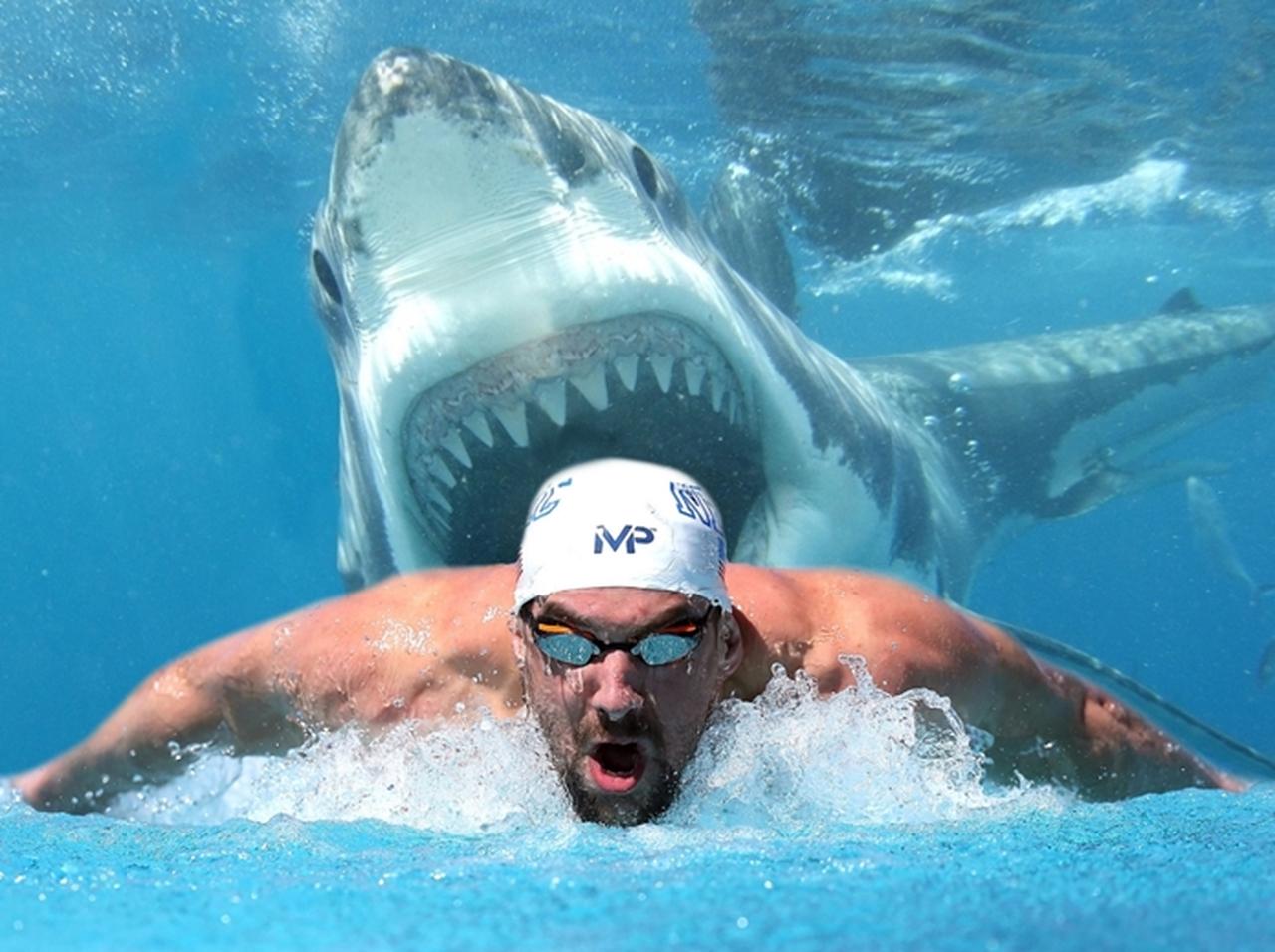 「詐欺だ！」マイケル・フェルプスと水泳対決したサメがフルCGで怒りの声