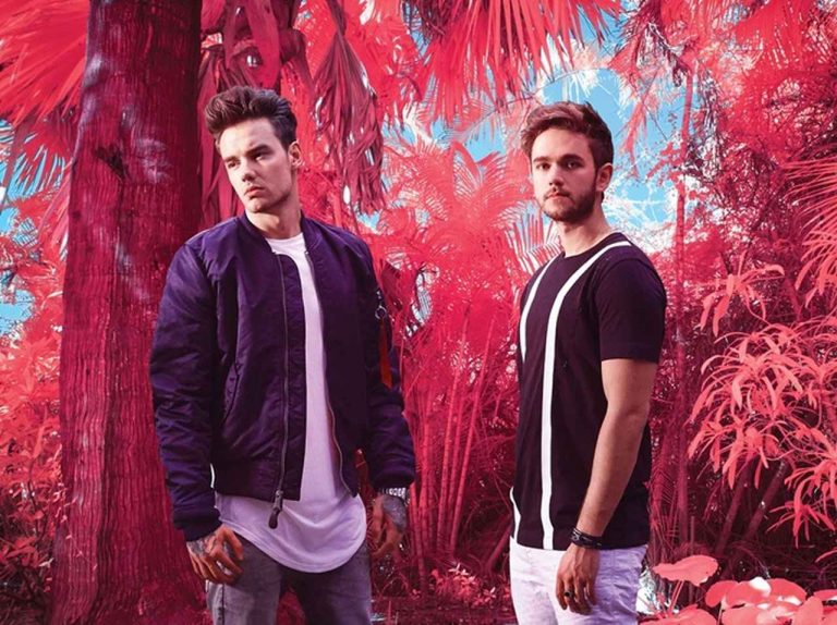 1Dリアム・ペインとコラボしたゼッドの新曲は「リアムにぴったりな曲」