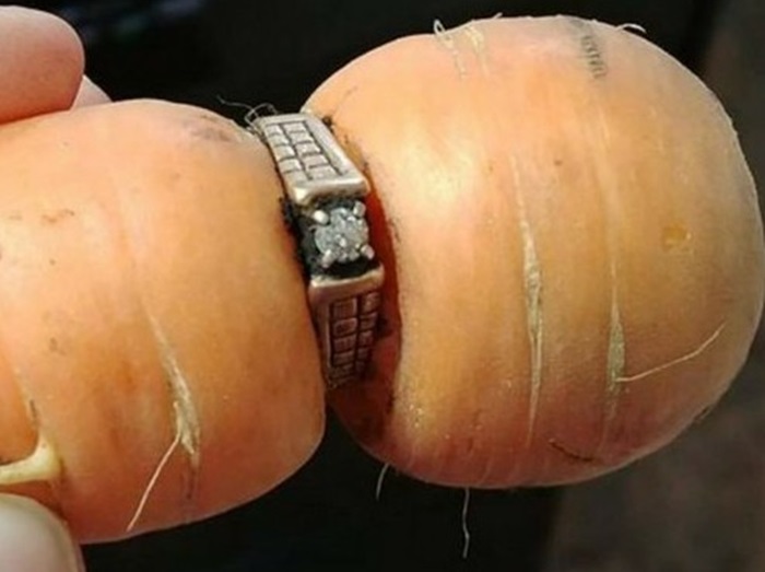 13年前に失くした結婚指輪がまさかのニンジンから発見される