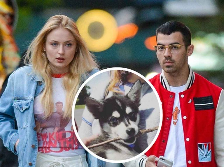 DNCEジョー・ジョナスが彼女と子犬を飼い始め、専用アカウントも開設