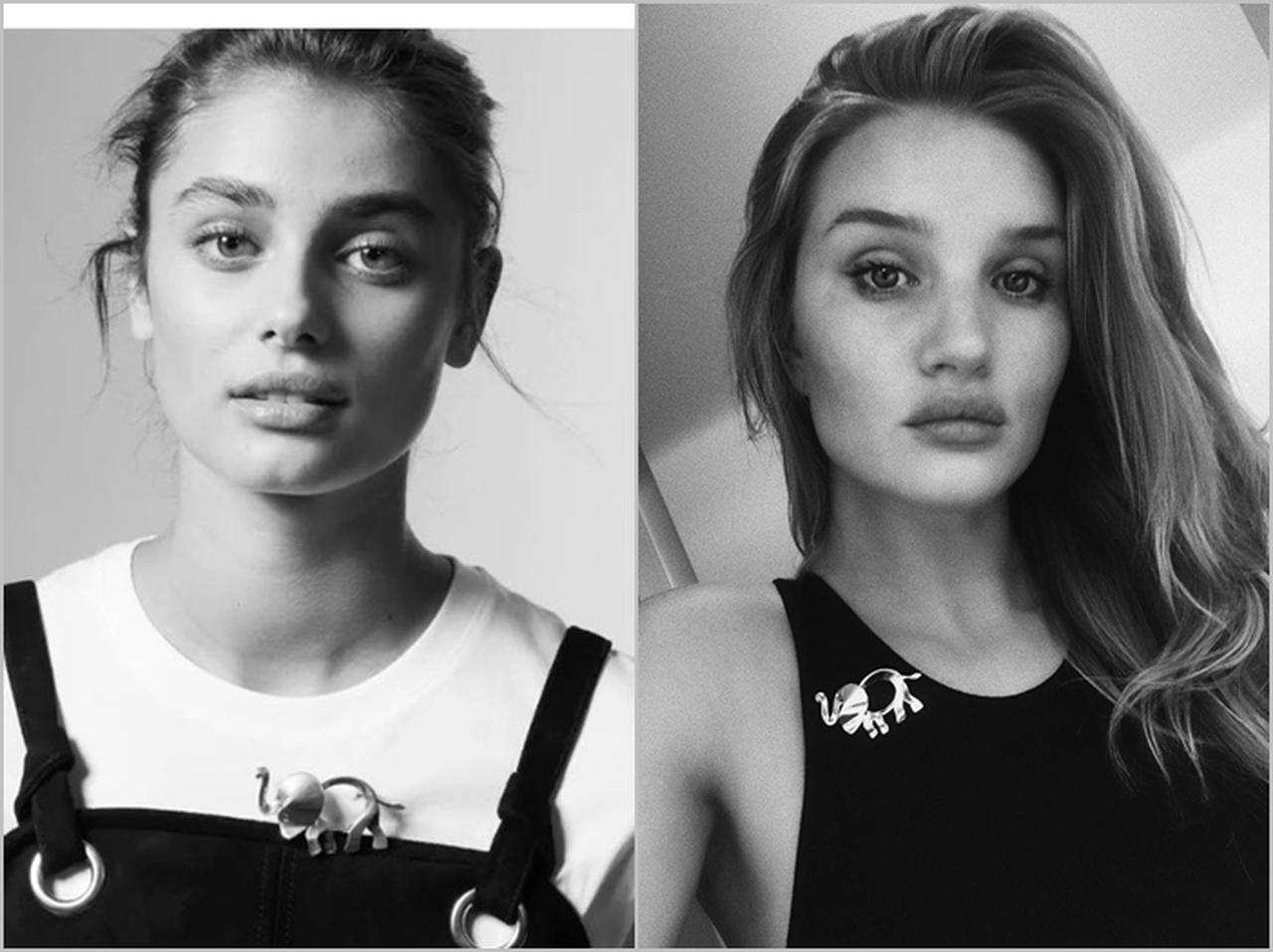 有名モデルたちがこぞって着ける「象」のブローチの意味