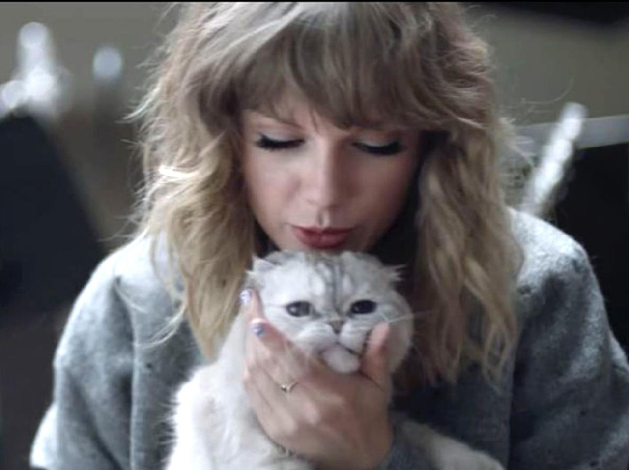 セレブにも愛好家多し!SNSで人気のあの猫種に専門家たちから危険信号