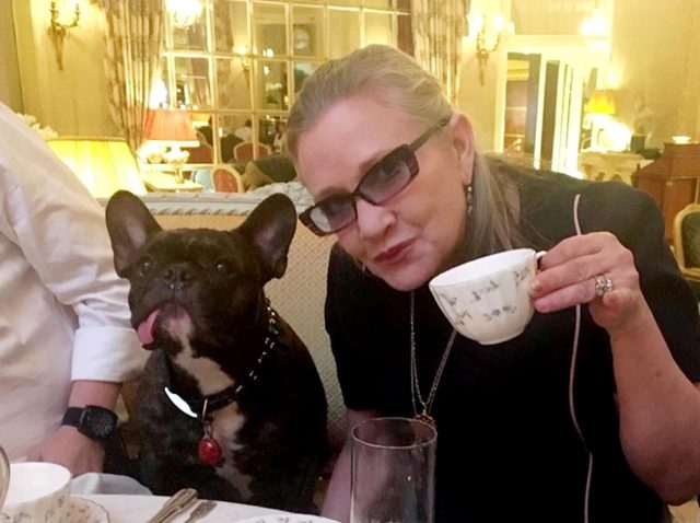 『スター・ウォーズ』最後のレイア姫を見守る愛犬の姿に胸が締め付けられる