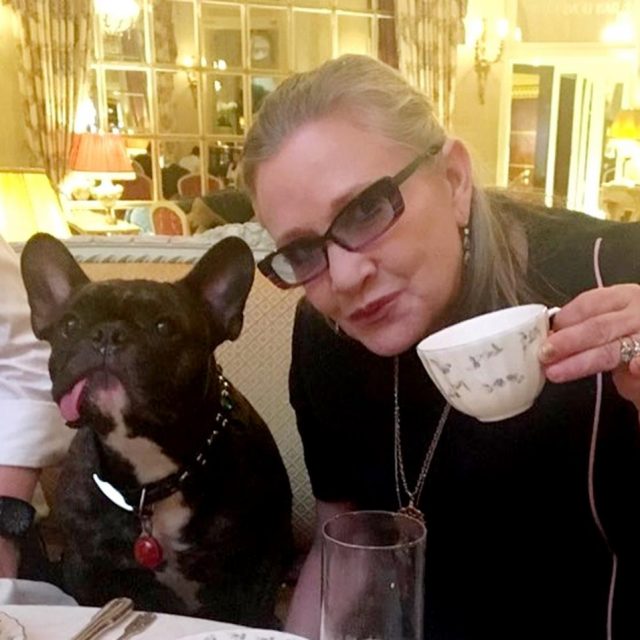 『スター・ウォーズ』最後のレイア姫を見守る愛犬の姿に胸が締め付けられる