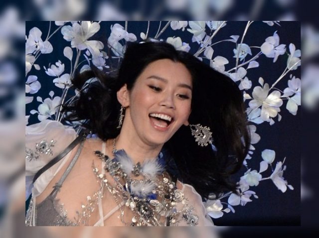 ヴィクシーショー2017でミン・シーが転倒、その時見た仲間愛【VSショー】