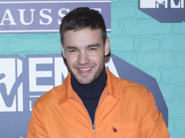 1Dリアム・ペインPOPSPRING2018で来日決定