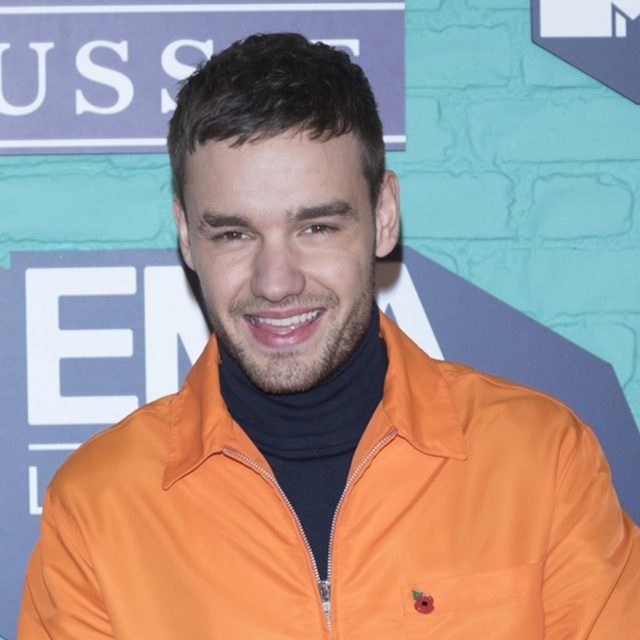1Dリアム・ペインPOPSPRING2018で来日決定