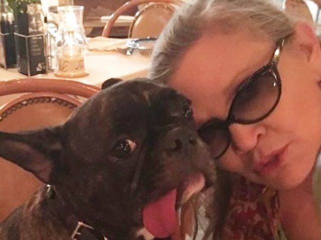 『スター・ウォーズ』亡きレイア姫を見た時の愛犬の反応が泣ける