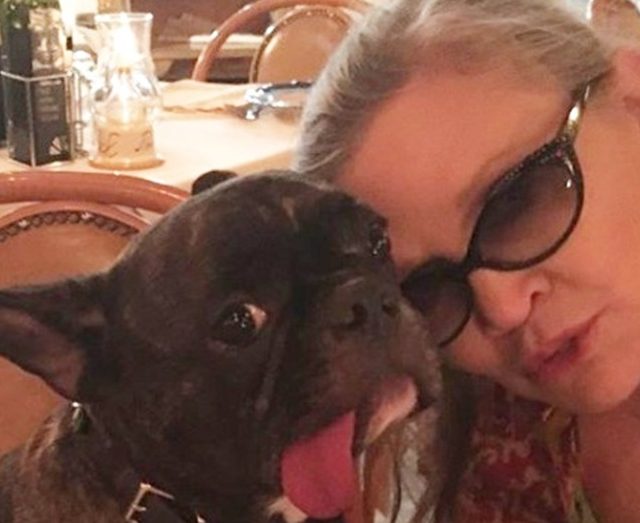 『スター・ウォーズ』亡きレイア姫を見た時の愛犬の反応が泣ける