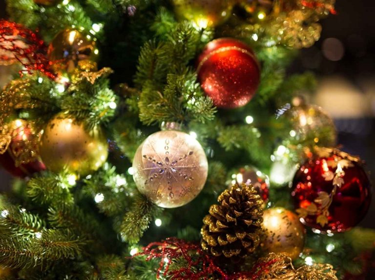 一般人が本気でクリスマスの飾りつけをするとこうなる