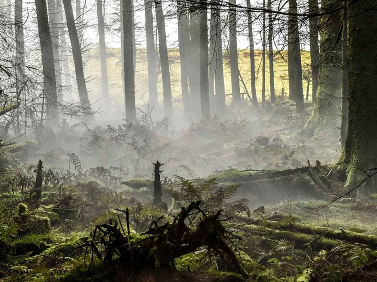 イギリス軍から問題、この写真には何が隠されているでしょう?