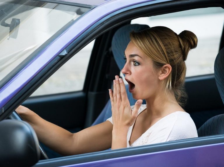 事故を起こしかけた母親、車から出てきたものに絶句