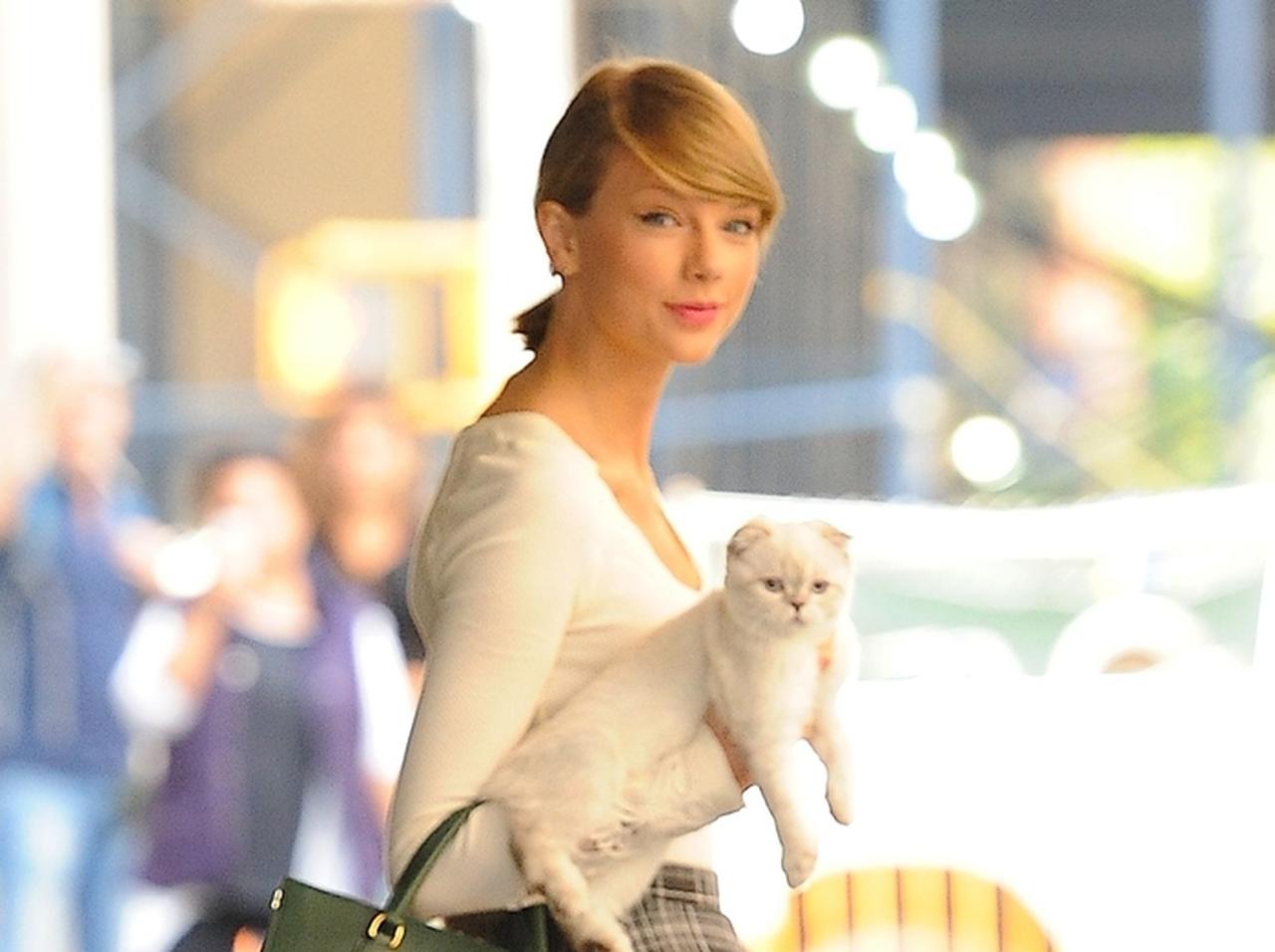 テイラー・スウィフトの猫がヴィクトリア・ベッカムの「美脚ポーズ」を完コピ