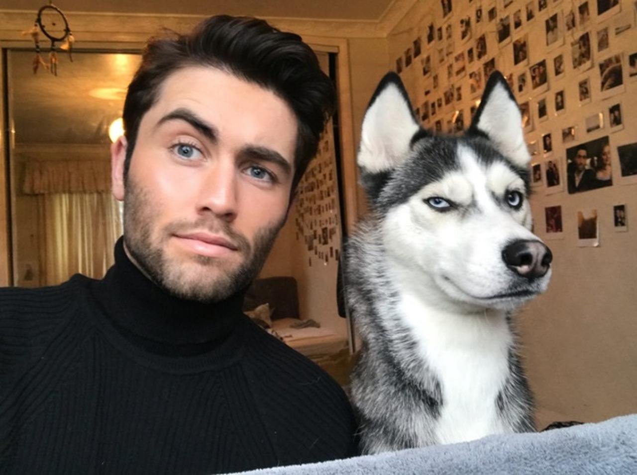 飼い主と似すぎ!同じ表情で愛犬と「双子セルフィー」を撮る人が続出