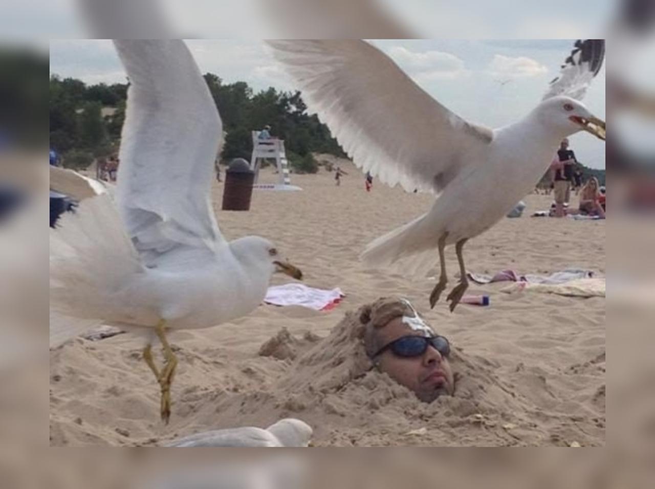 砂浜にすっぽり埋まった男性の身に起こった「悲劇」にジワる