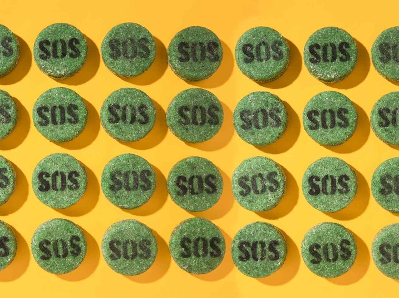 ラッシュの「SOS」シャンプーバーでスマトラ島の自然を救え!