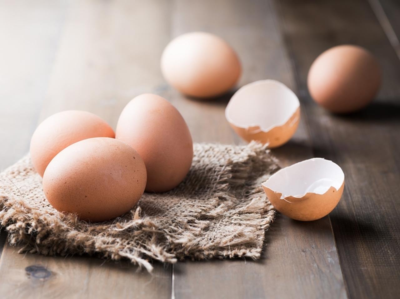 卵から出てきた「まさか」のものに開いた口がふさがらない