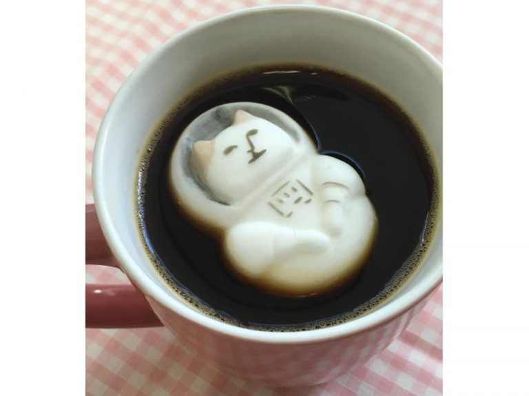 癒し系マシュマロ♡ネコ×宇宙のNYASAがカワイすぎる