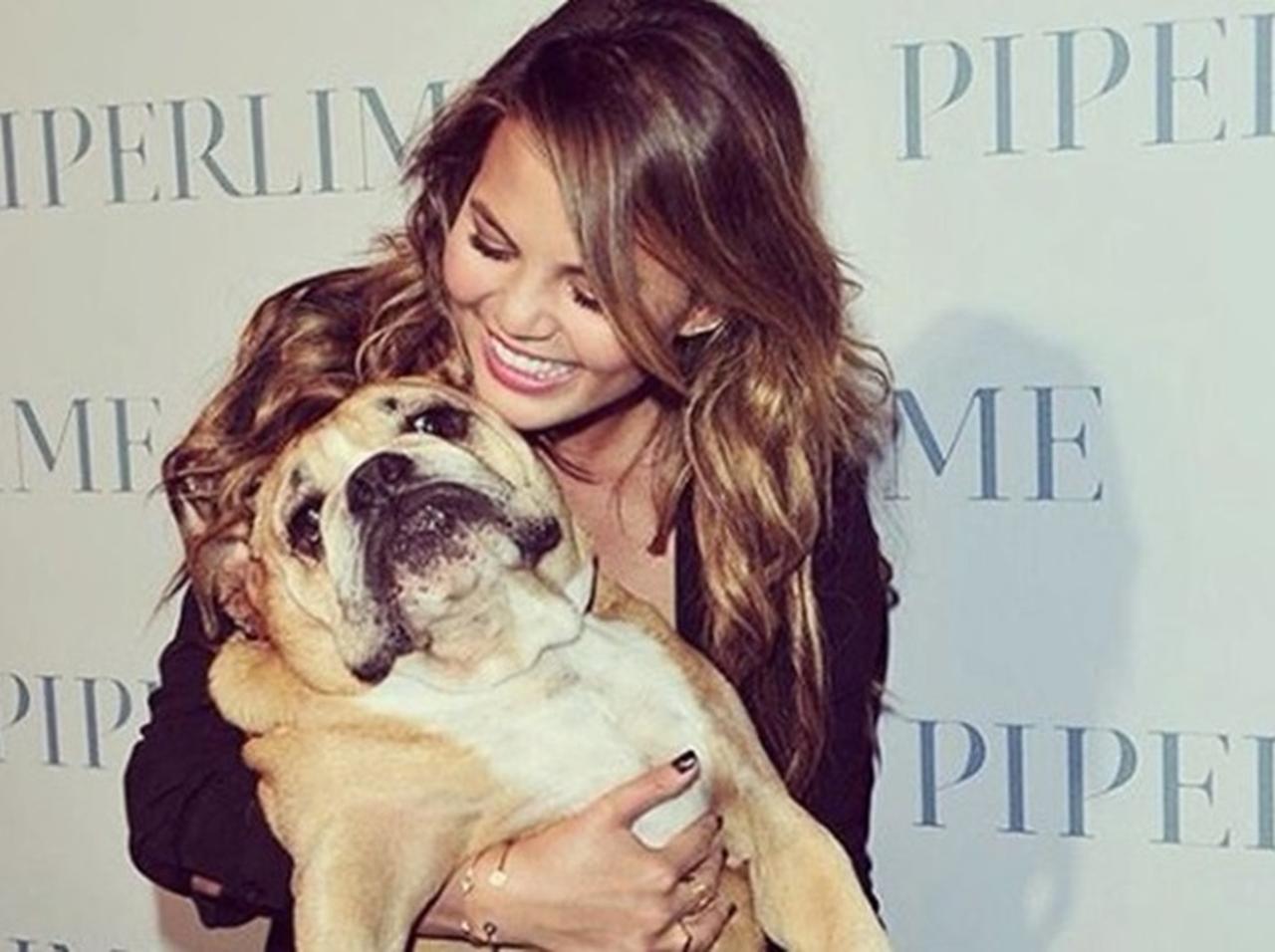 クリッシー・テイゲン、亡くなった愛犬に送ったメッセージが泣ける