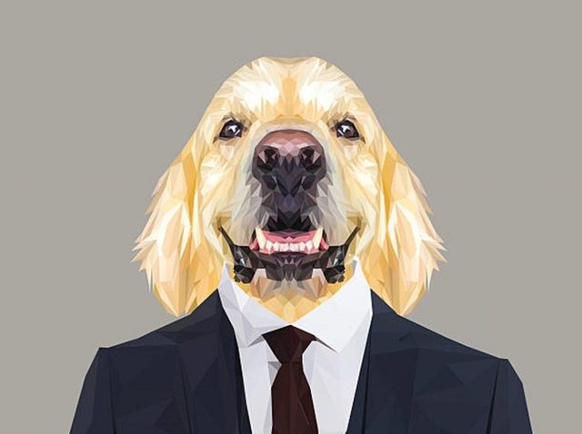 愛犬といい感じに合体しちゃった男性の写真に笑いが止まらない