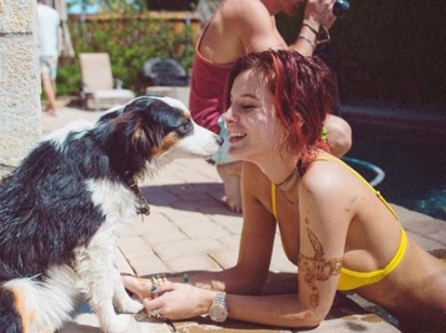 ベラ・ソーン、愛犬を「タンポン」と名付けた理由にぐうの音も出ない