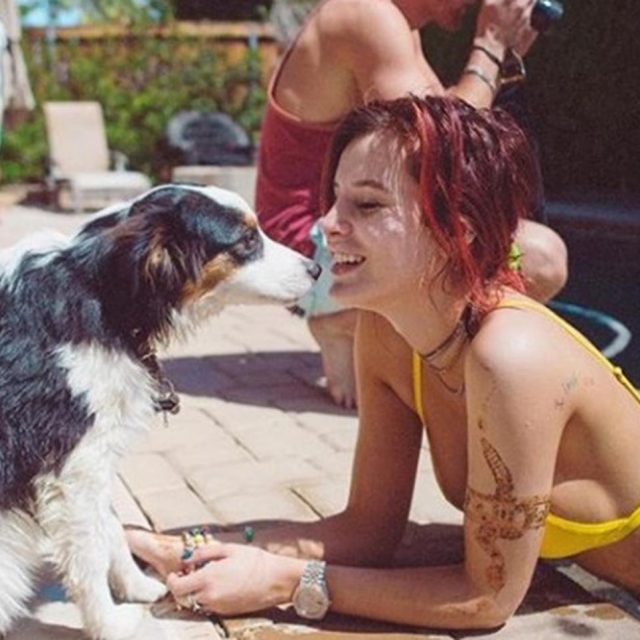 ベラ・ソーン、愛犬を「タンポン」と名付けた理由にぐうの音も出ない