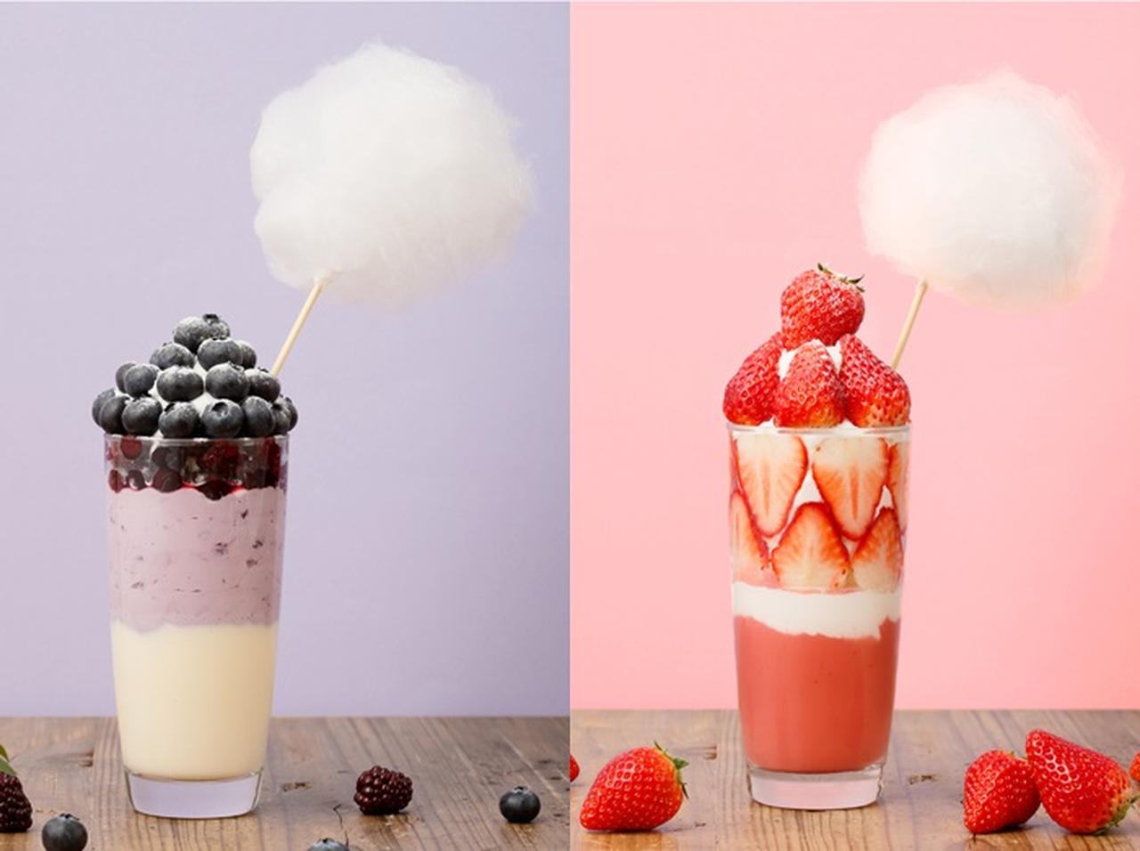 ボンボンつきがカワイイ♡ぎっしりブルーベリーのスムージーがビブリオテークより新登場