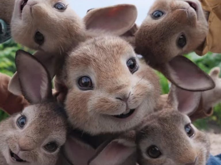 ピーターラビットが仲間と共にミュージカル!特別映像が公開