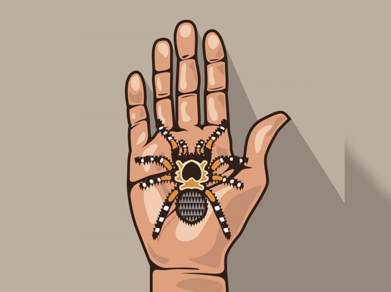 家の中にいた「クモ」を退治し損ねた夫から妻への『伝言』に爆笑