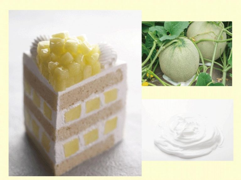 ほぼメロン!マスクメロンを1/3個使った極上スイーツ