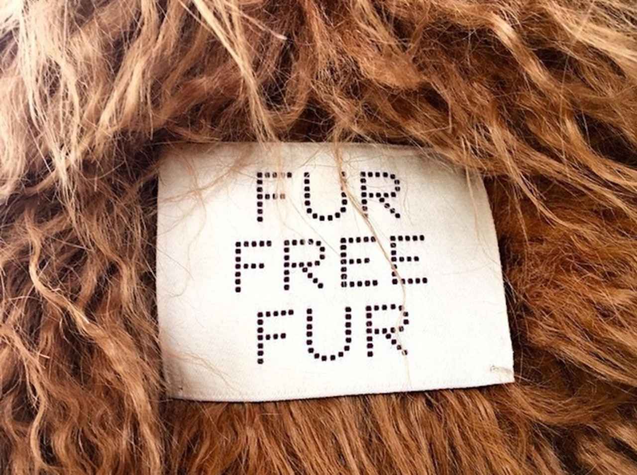 ファッション界でファーフリー運動が加速中！リアルファーを使わないブランド6