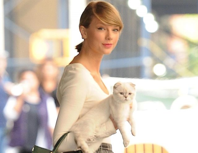 テイラー・スウィフトの猫がこんな形で『デッドプール2』にカメオ出演！ライアンの粋な計らい