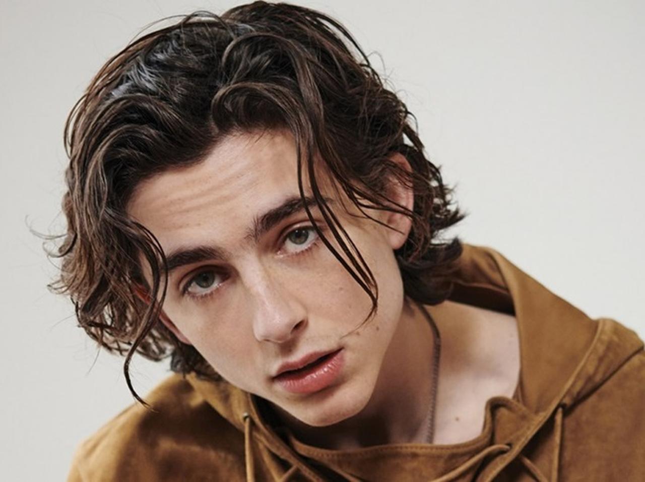 『君の名前で僕を呼んで』ティモシー・シャラメについて知らない15のこと